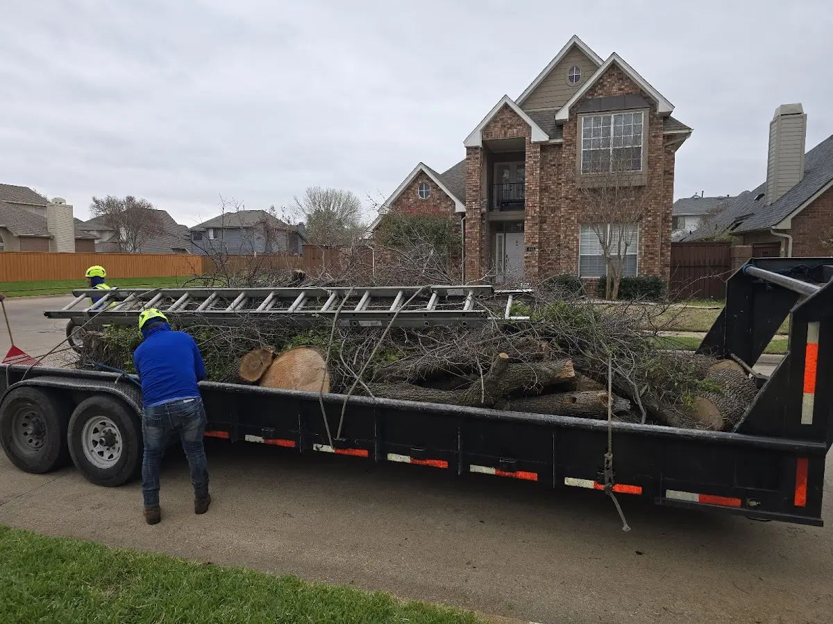 Expert Tree Pest Control with proper safety equipment in Peacham